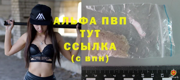 прущий лед Вяземский