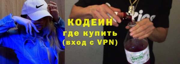 прущий лед Вяземский