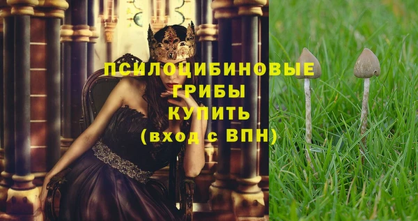 бошки Вязьма