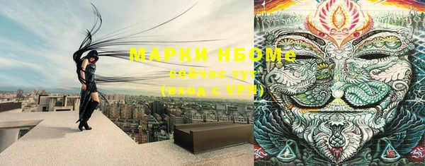 дживик Вязники