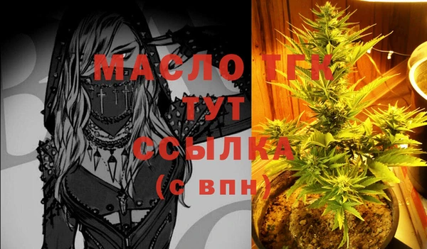 прущий лед Вяземский